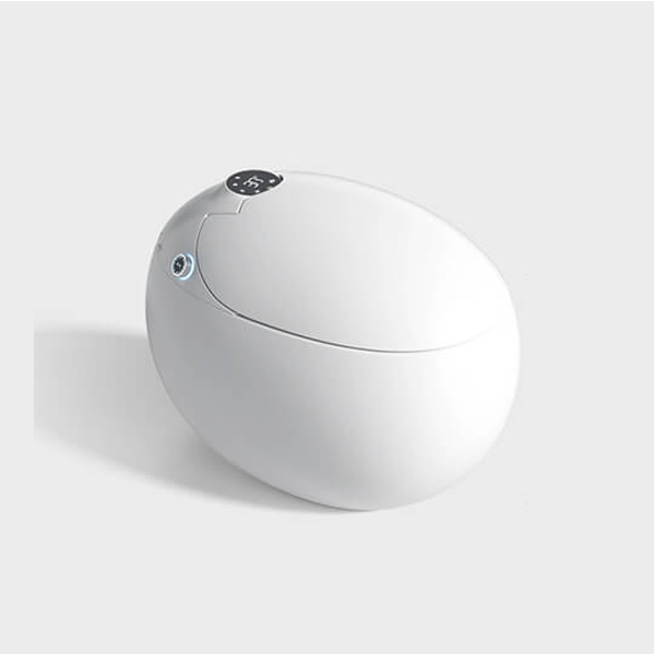 Bồn cầu thông minh